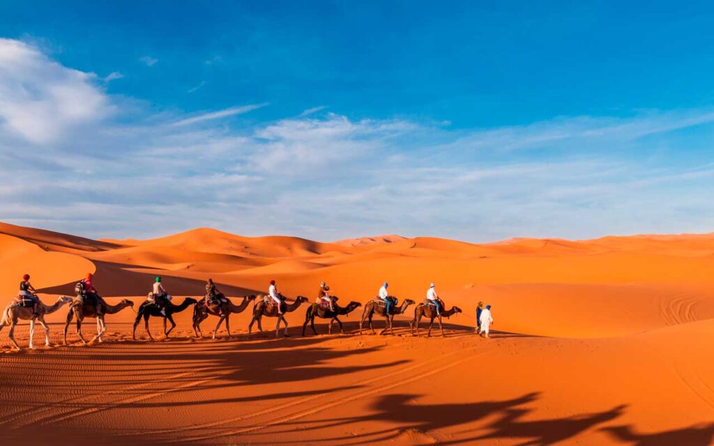 excursion desierto marrakech