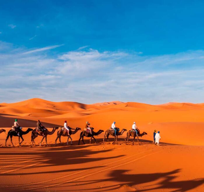 excursion desierto marrakech